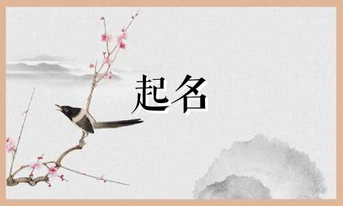 不会起名的小花有哪些