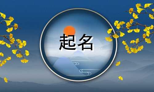 网店起名必看名字有哪些