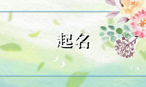 动物起名大赛有哪些名字