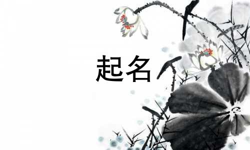 起名小树的名字有哪些