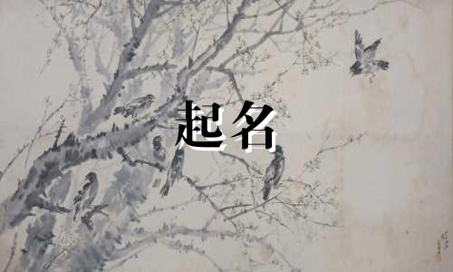 女孩起名用哪些字好听