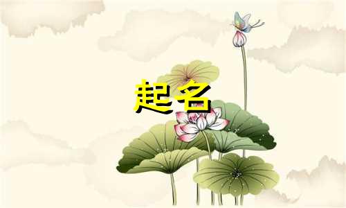 猪场起名有哪些吉利名称