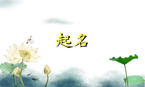 特殊起名方法有哪些字