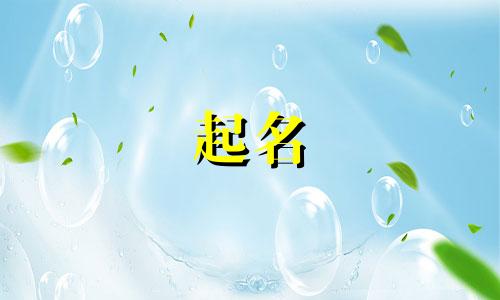 饮料起名大全有哪些字母