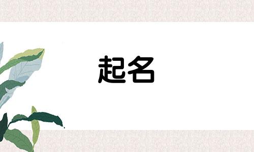 调酒起名推荐词语有哪些