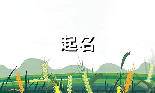 虎宝宝起名的用字有哪些