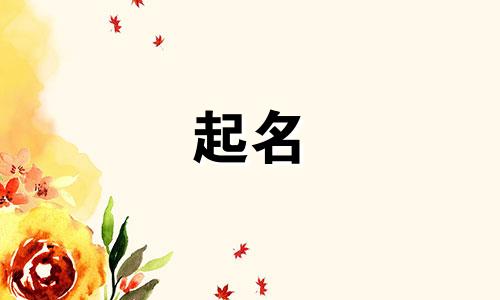 给宠物起名的禁忌有哪些