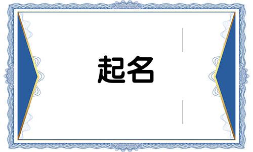 起名有哪些维度的字体好