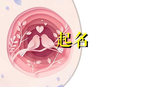 起名爸爸姓蔡的名字有哪些