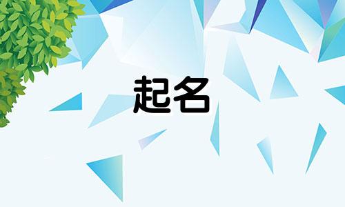 兔宝宝起名用哪些字好听