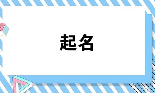 哪些动物名字适合公司起名的