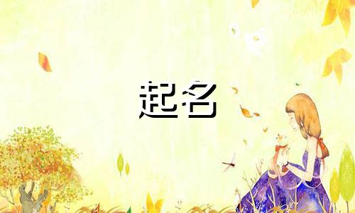 运动品牌的起名有哪些字