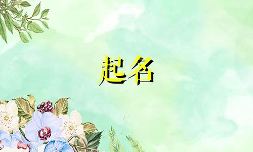 国学起名工具有哪些呢