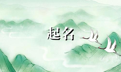 公司起名的理由有哪些呢