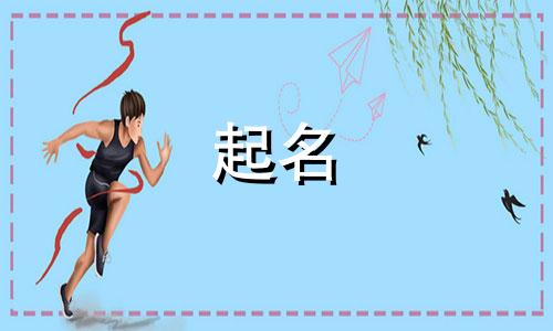 商标起名的规则有哪些内容