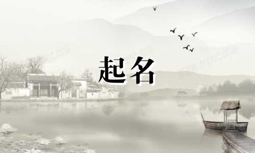 随便起名的猫咪名字有哪些