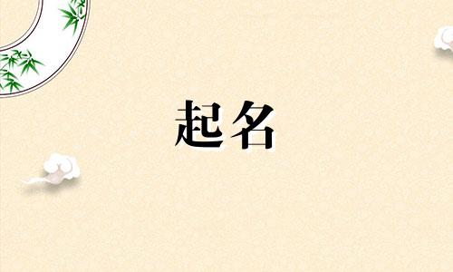 小狗起名灵感的名字有哪些