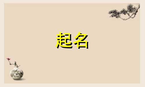 家族起名外国姓氏有哪些