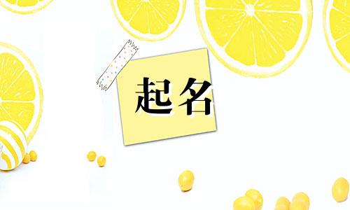 男孩起名带灿的有哪些