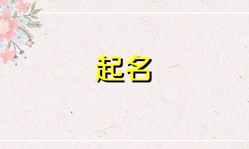 带九字公司起名有哪些