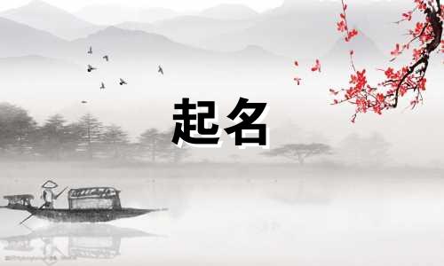 出生证起名要哪些东西