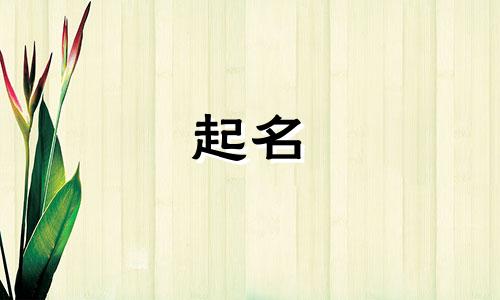 现在男孩起名字有哪些