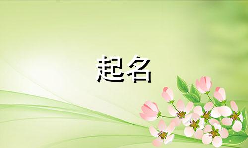 门派起名网站有哪些名字