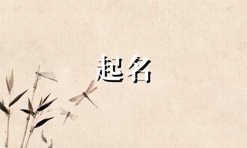 女网红起名叠字有哪些