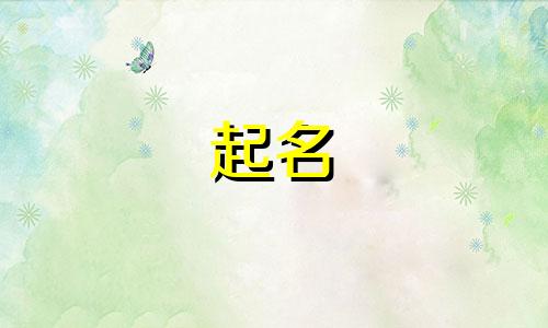 熊猫的起名规律有哪些呢