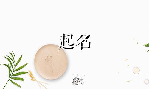 好起名的姓氏有哪些字体