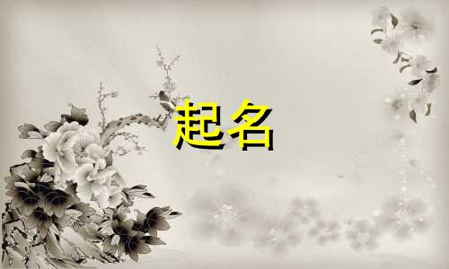 孩子起名好用的字有哪些