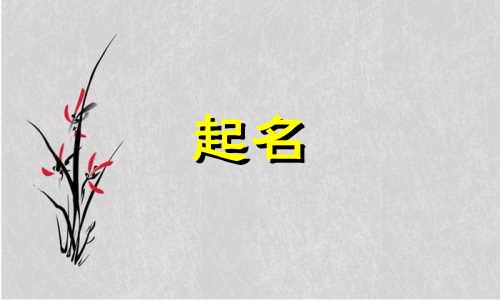 用璟字起名适合哪些姓氏