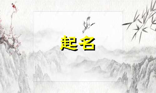 虎宝宝起名取名神器有哪些