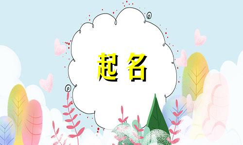 国学起名工具有哪些种类