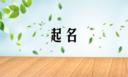 给作者起名软件有哪些好