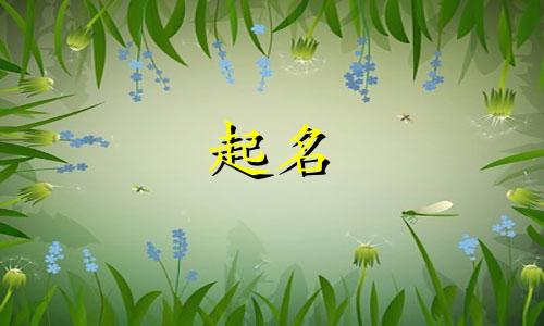 给孩子起名的缺点有哪些