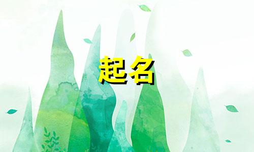 方言起名的狗狗名字有哪些