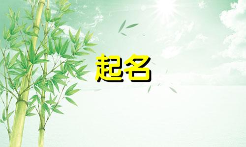 中文起名小程序有哪些软件