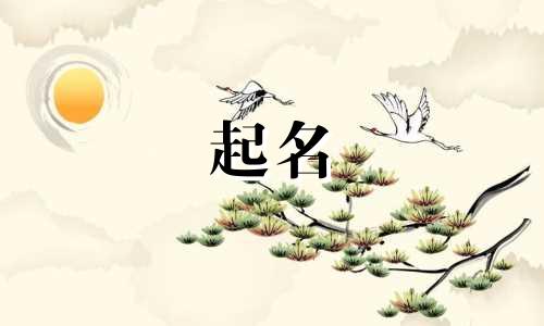 给人起名的素材有哪些图片