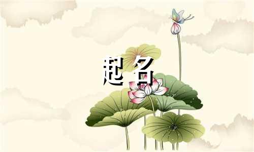 宠物起名食物类有哪些