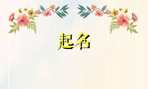 起名可用符号有哪些呢图片