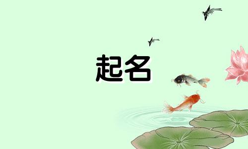 潮牌起名公司有哪些名字