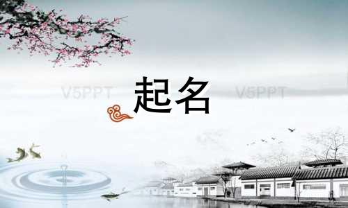 网店起名的基本规则有哪些