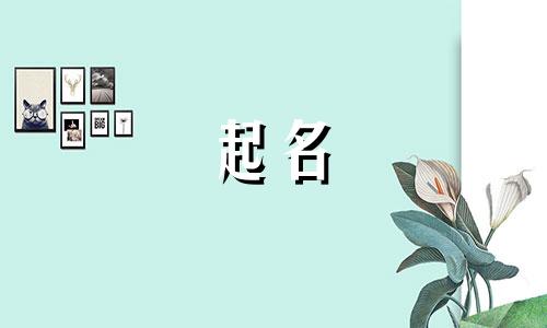 鼠年起名宜忌用哪些字