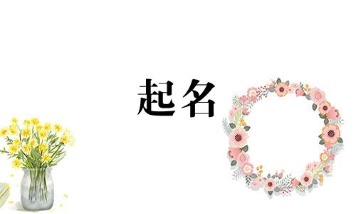 诗经哪些作品可以用于起名