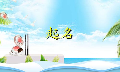 玄学起名方法有哪些书