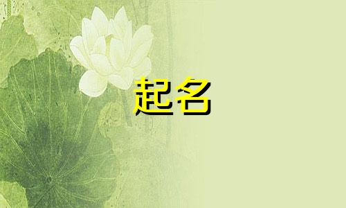 花店可以和哪些结合起名