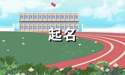 起名易经参考书有哪些