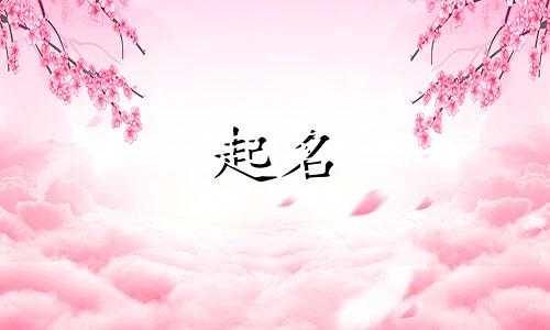 婴儿起名字用字有哪些