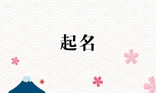 店铺起名工具有哪些种类